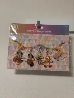 ☆ディズニー　４０周年　チャーム　バッグ