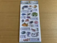 【正規品】大人の図鑑3D ウミウシ編