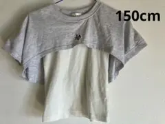 ロゴ刺繍入りTシャツ（グレー/ホワイト）　150cm
