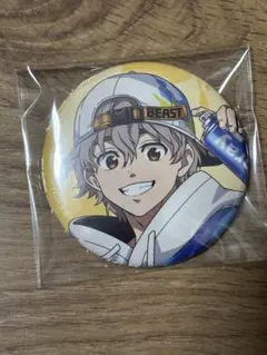 WIND BREAKER ウィンヒロ 缶バッジ 兎耳山丁子
