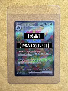 2026年最新】フシギバナsarの人気アイテム - メルカリ
