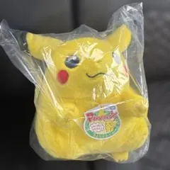 ポケットモンスター ポケモン30周年記念 おかえり！ピカチュウ1/1