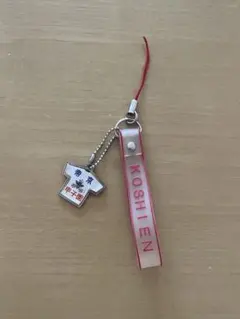 Item thumbnail for item cf3d1d51-ab43-4f50-9e6c-cf51de562e68