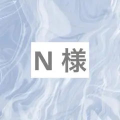 N 様 専用ページ