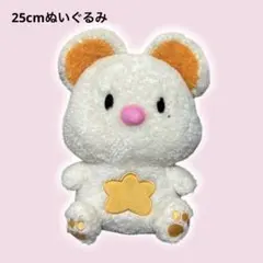 EVNNE スンオン EVNNIZ ポルンイ 2026年最新】スンオン ポルンイの人気アイテム - メルカリ