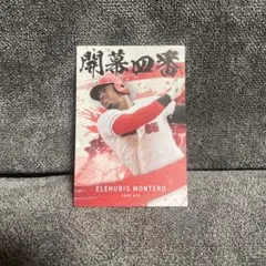 ELEHURIS MONTERO カルビー トレーディングカード #95