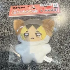 孤爪研磨 ハイキュー!! ちみけもますこっと ぬいぐるみ