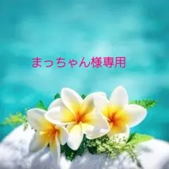 まっちゃん様専用