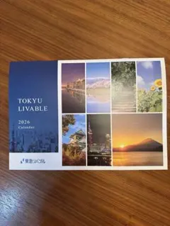 Item thumbnail for item 90b4e5ad-c35d-4a67-b099-3afc515998b4