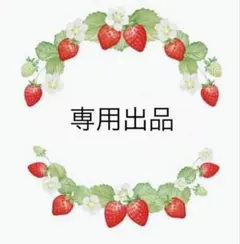 ++Niko猫++様 リクエスト 2点 まとめ商品