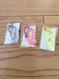 琵琶湖キーホルダー　イナズマ　サップ　虹