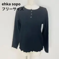 エヘカソポ サマンサモスモス ヘンリーネック カットソー 黒 フリーサイズのサムネイル