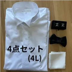 그룸 셔츠 (4L) 액세서리 세트*별매도 가능