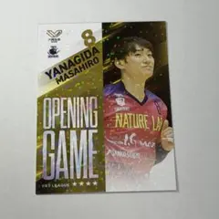 柳田将洋 スポーツ選手