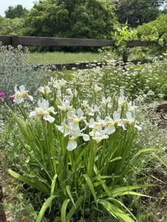 レインボー様 リクエスト 3点 まとめ商品