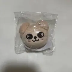 2025年最新】straykids skzoo マグネットの人気アイテム - メルカリ