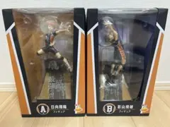 ハイキュー　ハッピーくじ　a 日向翔陽 b 影山飛雄