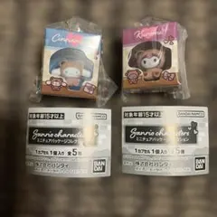 サンリオキャラクターズ ミニチュアパッケージコレクション シナモロール&クロミ