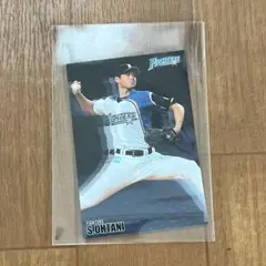 2026年最新】大谷翔平 カード 日本ハムの人気アイテム - メルカリ