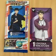 【まとめ130円】ハイキュー チケットライクコレクション 牛島若利