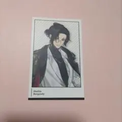 シェリン 探偵と助手 チェキ