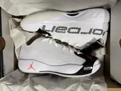 JORDAN バスケットボールシューズ LUKA77
