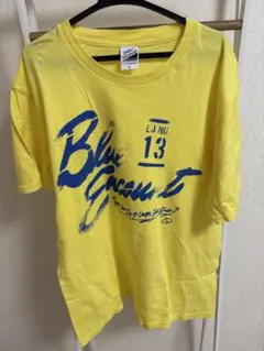 BLUE ENCOUNT Tシャツ Lサイズ