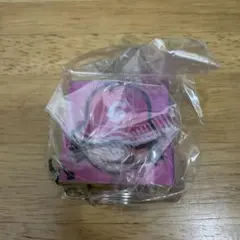 GADORO 独り言 キーホルダーです。