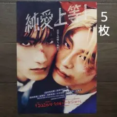 映画 純愛上等！ チラシ 3枚セット - メルカリ