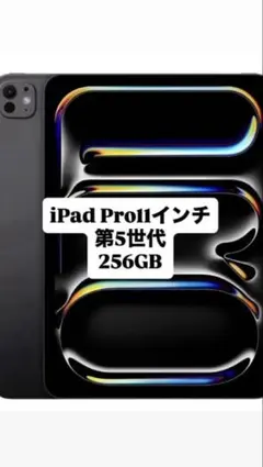 iPad Pro 11インチ 第5世代 M4チップ 2024年モデル