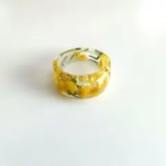 Item thumbnail for item 1f240f7d-2395-4fa4-b15d-431c4fe94c35