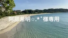 Item thumbnail for item f97dcaa1-ae93-45f7-a5da-efcab9272727