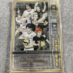 Sportiva アクリルパネル ハイキュー