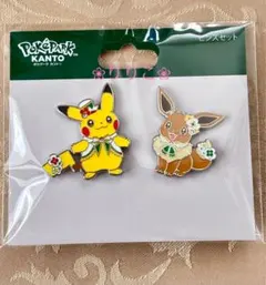 ピンズセット】ポケパークカントー限定 ピカチュウ イーブイ - メルカリ