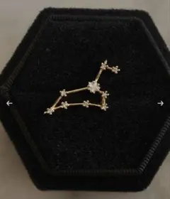 【美品】rippmonster ピアス 2025年最新】rippmonsterの人気アイテム - メルカリ