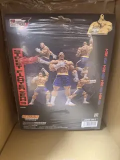 ストリートファイター3 サガット　ストームアリーナ