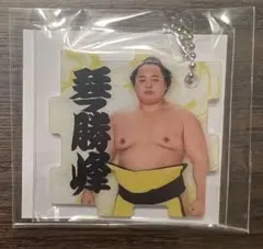 【新品未開封】大相撲七夕スクラッチくじ　E賞つながるパズルキーホルダー 琴勝峰関