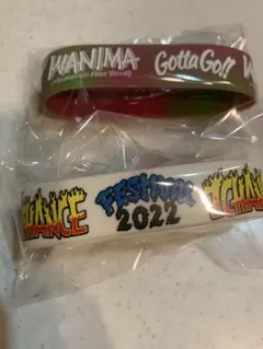 2026年最新】ワンチャンフェス wanimaの人気アイテム - メルカリ