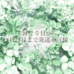 7月25日から8月25日まで発売不可様