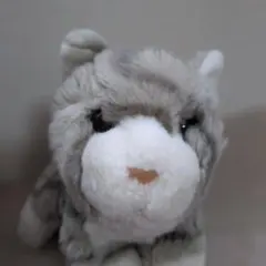 2026年最新】ANIMAL alleyの人気アイテム - メルカリ