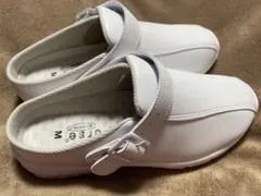 Item thumbnail for item 929f48dd-6d93-4253-9780-f53994c5a87d