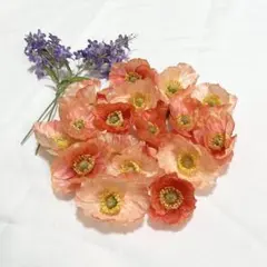 Item thumbnail for item e82ae99d-3c90-46a6-b37c-0051ee41fbad