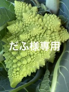 だふ様専用です