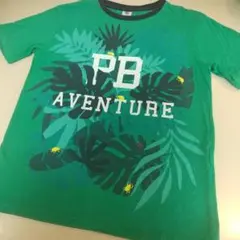 プチバトー12ansグリーンTシャツ 夏昆虫