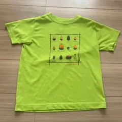 モンベル mont-bell Tシャツ(どんぐり) 130