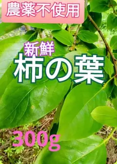 みや様 リクエスト 2点 まとめ商品