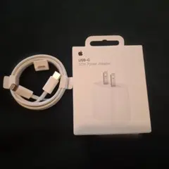 Apple USB-C 20W Power Adapter