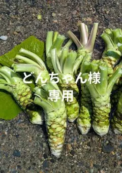 本わさび 専用のサムネイル