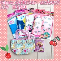 ディズニー　お食事エプロン　保温保冷　バッグ　おにぎりラップ　プリンセス　セット
