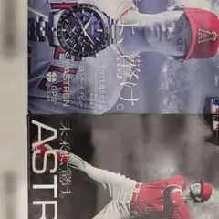 Item thumbnail for item 278fcd5a-b092-4729-a489-e1f6b0d6b693